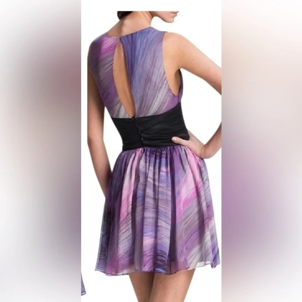 Elizabeth and James Purple Jana Silk Cocktail Dress